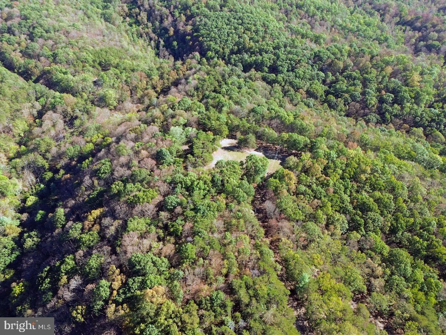 939 Collins Road Artemas, PA 17211 - Photo 20 of 43 a view of a house with a lush green forest