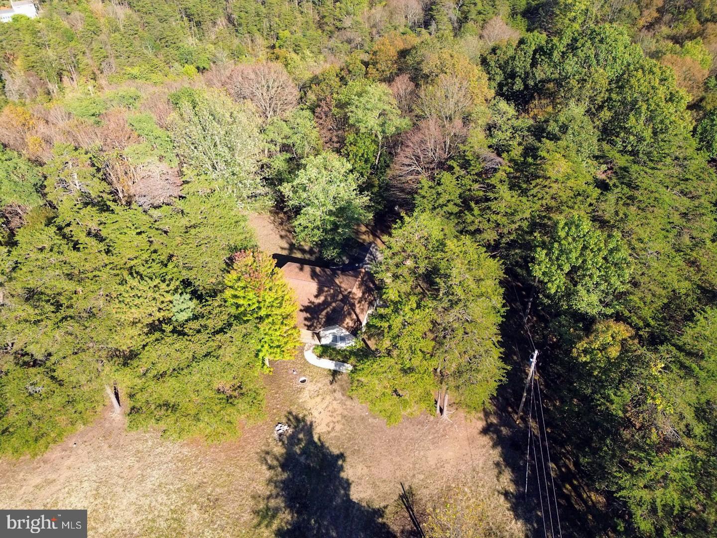 939 Collins Road Artemas, PA 17211 - Photo 21 of 43 a view of a tree with a yard