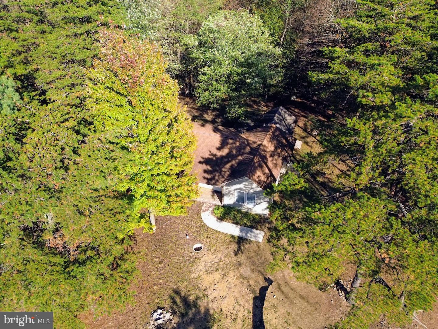 939 Collins Road Artemas, PA 17211 - Photo 22 of 43 a picture of a tree