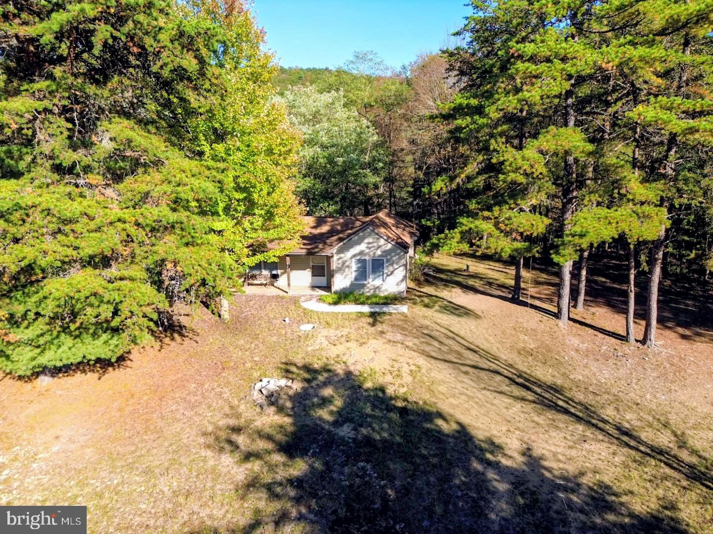 939 Collins Road Artemas, PA 17211 - Photo 23 of 43 a view of a yard with plants and tree
