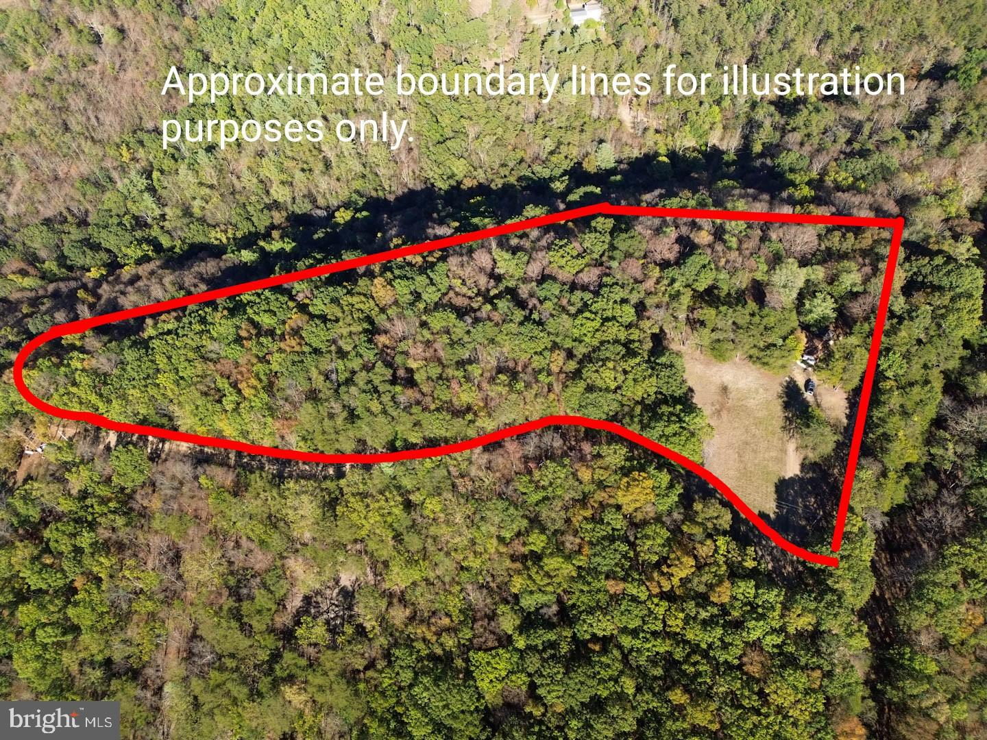 939 Collins Road Artemas, PA 17211 - Photo 24 of 43 a view of a flower in a garden