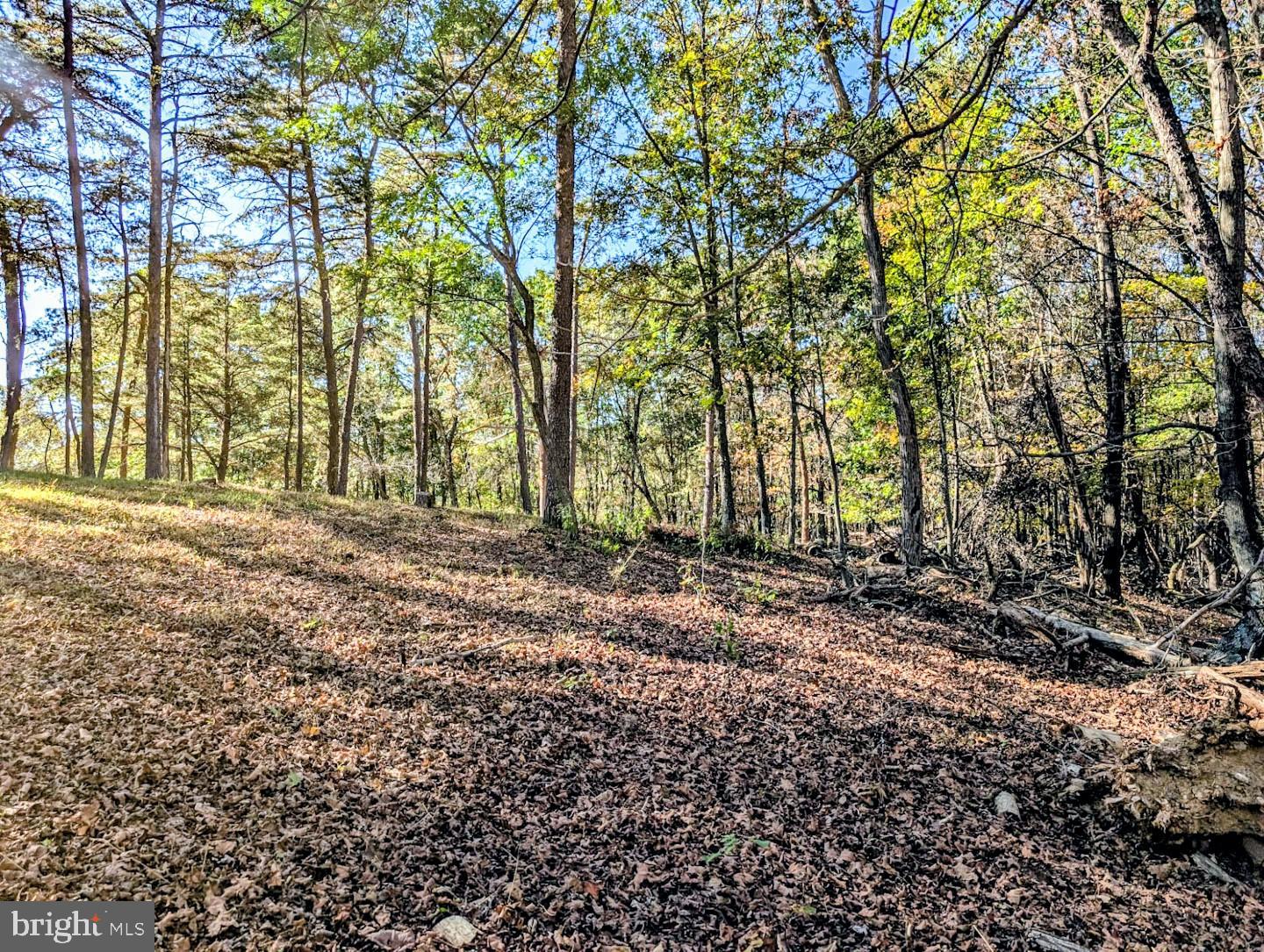 939 Collins Road Artemas, PA 17211 - Photo 26 of 43 a backyard of a house with lots of green space