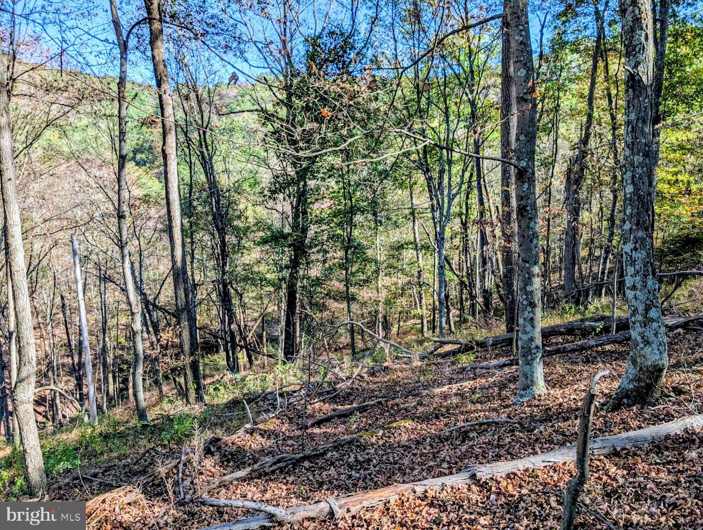 939 Collins Road Artemas, PA 17211 - Photo 27 of 43 a backyard of a house with lots of trees