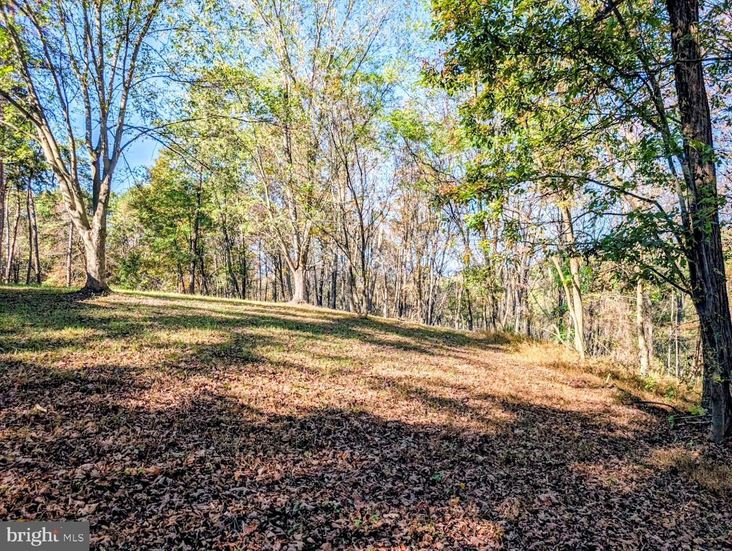 939 Collins Road Artemas, PA 17211 - Photo 29 of 43 a view of dirt yard with large trees