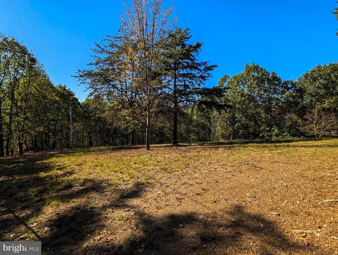 939 Collins Road Artemas, PA 17211 - Photo 30 of 43 a view of a yard