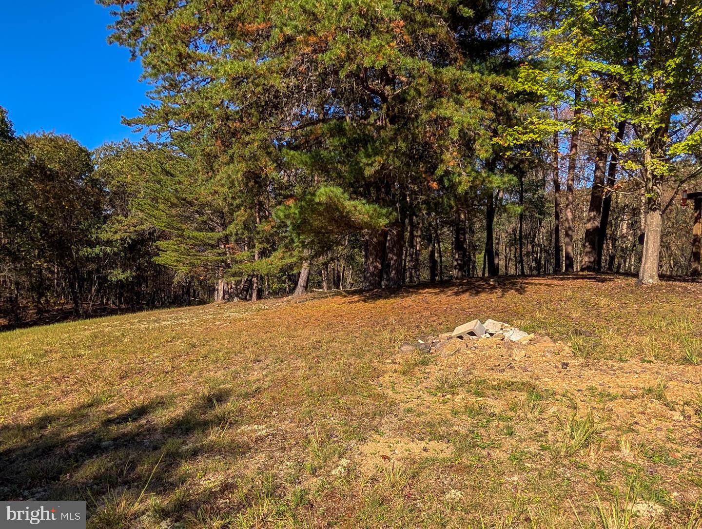939 Collins Road Artemas, PA 17211 - Photo 31 of 43 a view of large yard with large trees