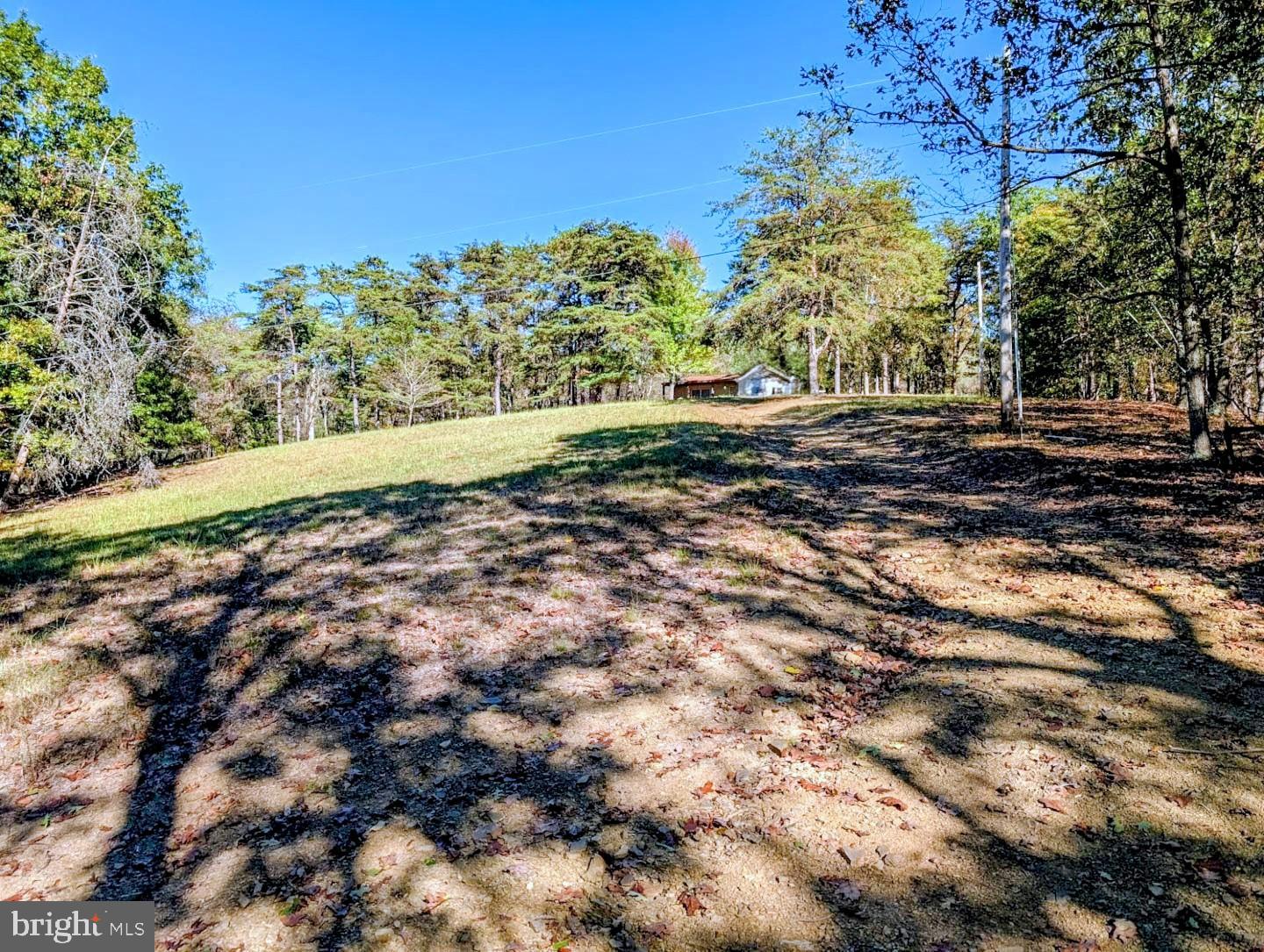 939 Collins Road Artemas, PA 17211 - Photo 32 of 43 a view of a yard with a tree