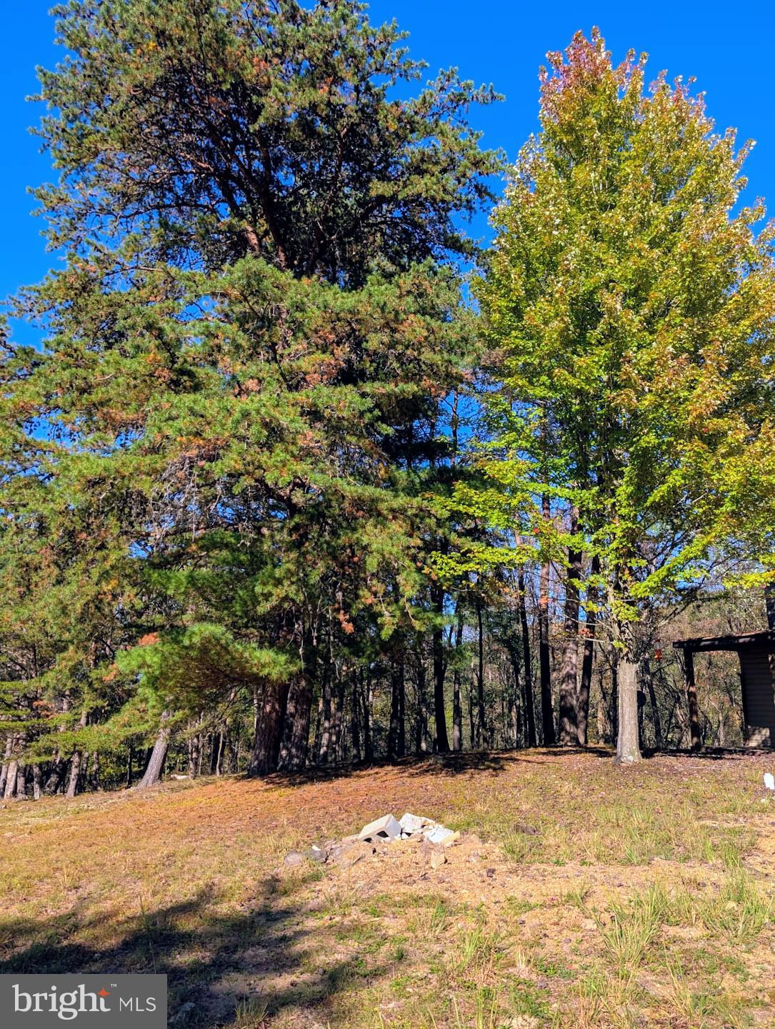 939 Collins Road Artemas, PA 17211 - Photo 34 of 43 a view of a yard of a house