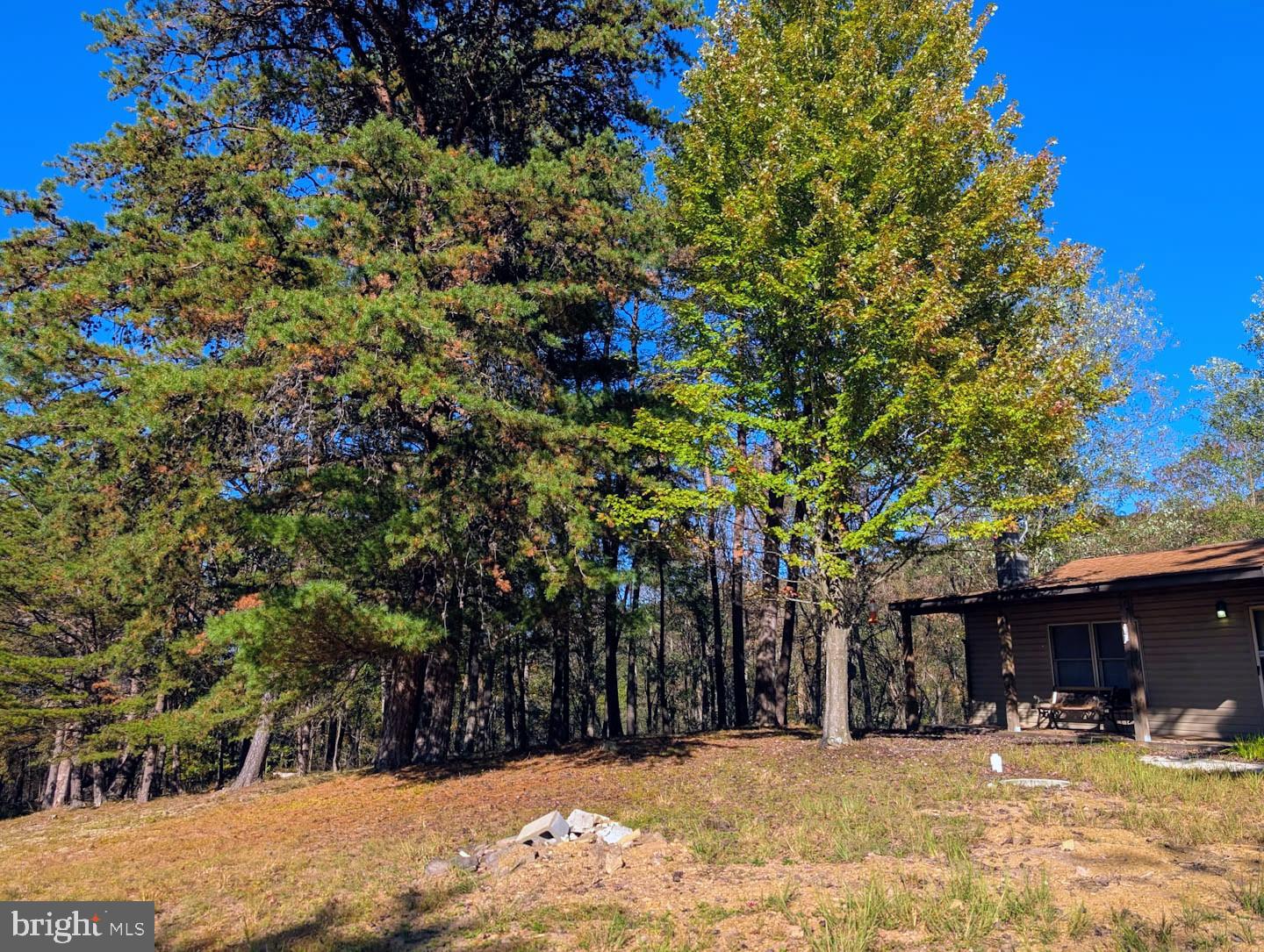 939 Collins Road Artemas, PA 17211 - Photo 35 of 43 a view of outdoor space yard and patio