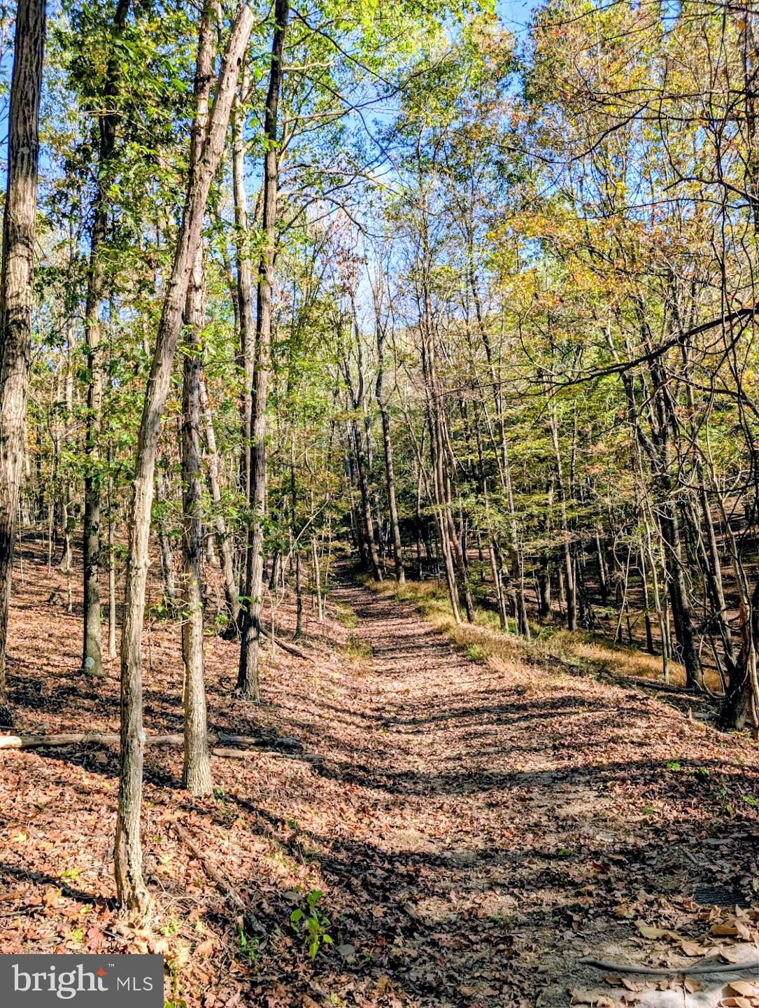 939 Collins Road Artemas, PA 17211 - Photo 36 of 43 a view of a yard with trees