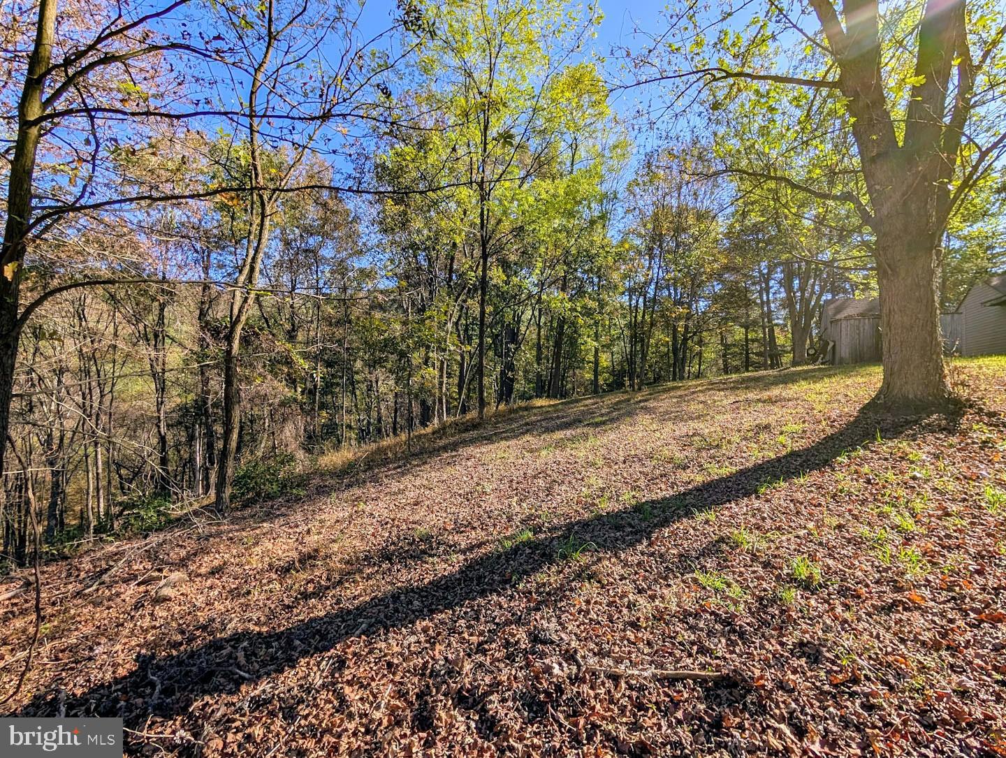 939 Collins Road Artemas, PA 17211 - Photo 39 of 43 a view of a yard with trees