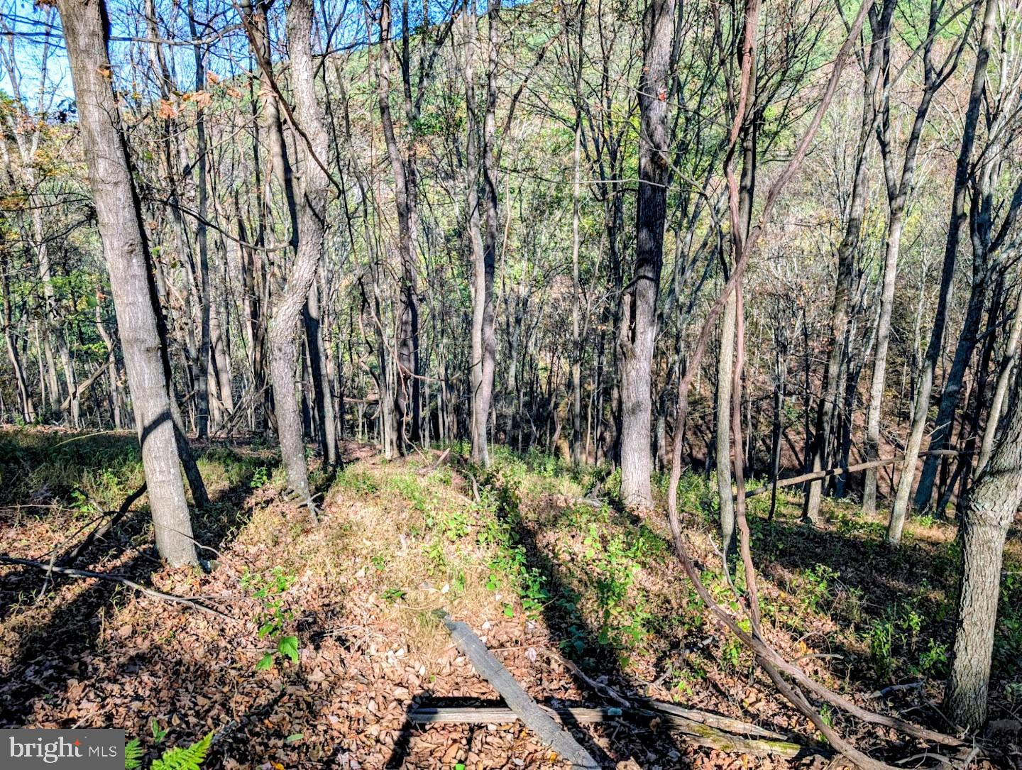 939 Collins Road Artemas, PA 17211 - Photo 40 of 43 a backyard of a house with a yard and outdoor seating
