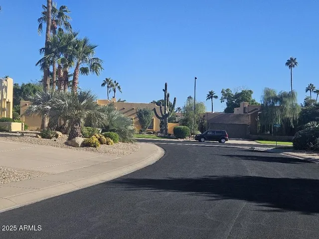 a view of a street with palm trees
