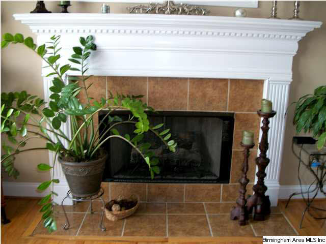 235 Ridgefield Drive Odenville, AL 35120 - Photo 5 of 31