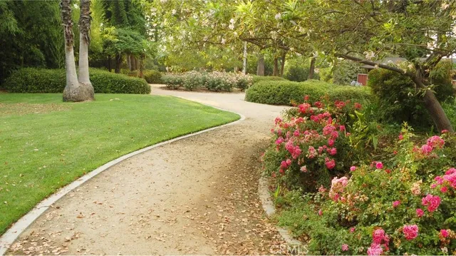 a view of a garden with a fountain and a tree
