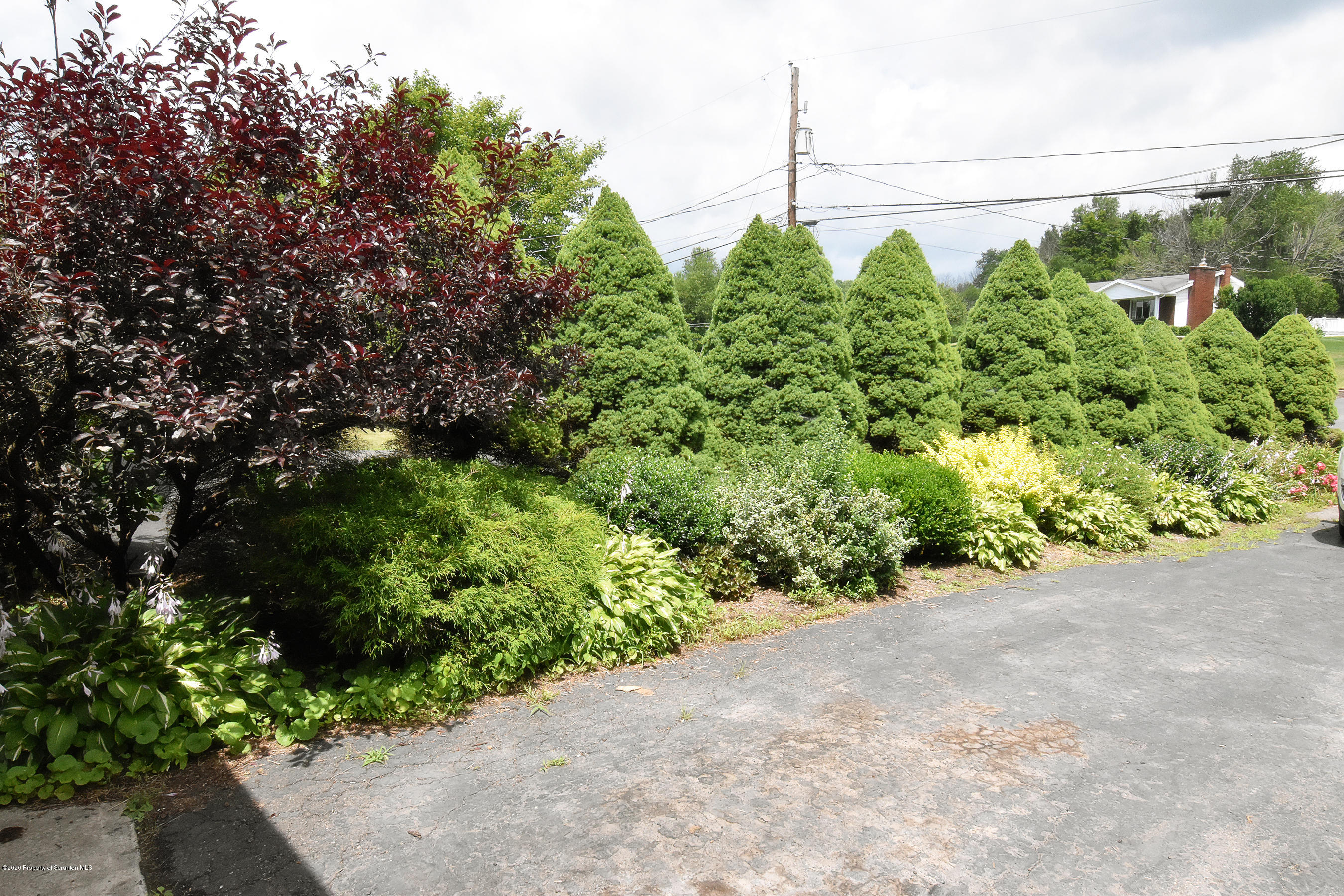 614 State Rte 1014 Nicholson, PA 18446 - Photo 4 of 23 a view of a garden with plants