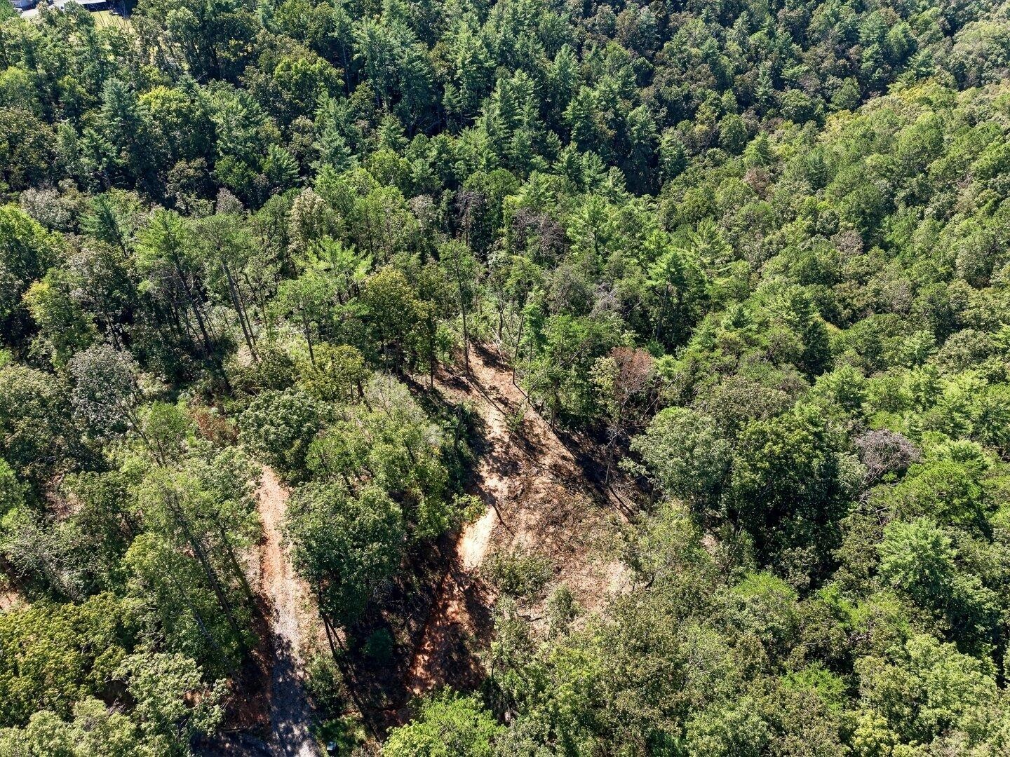 0 Dell Moore Road Marble Hill, GA 30148 - Photo 12 of 17 Gallery Image 12