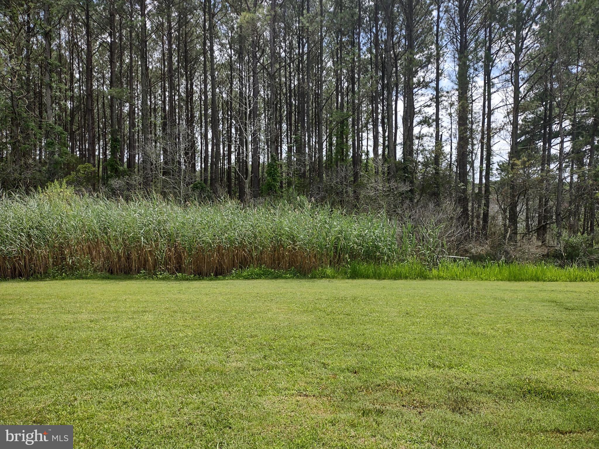3175 Boone Road Crisfield, MD 21817 - Photo 6 of 22 Backyard