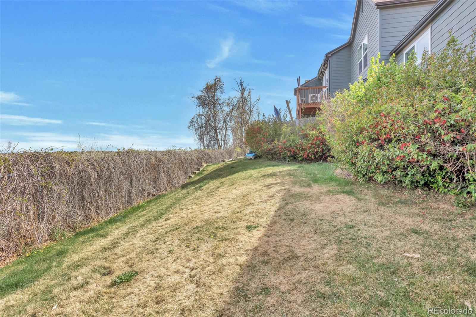 17477 East Rice Circle, Unit A Aurora, CO 80015 - Photo 21 of 23