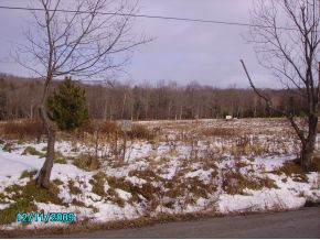 243 Flint Road Binghamton, NY 13905 - Photo 3 of 5 Gallery Image 3