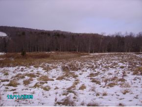 243 Flint Road Binghamton, NY 13905 - Photo 4 of 5 Gallery Image 4