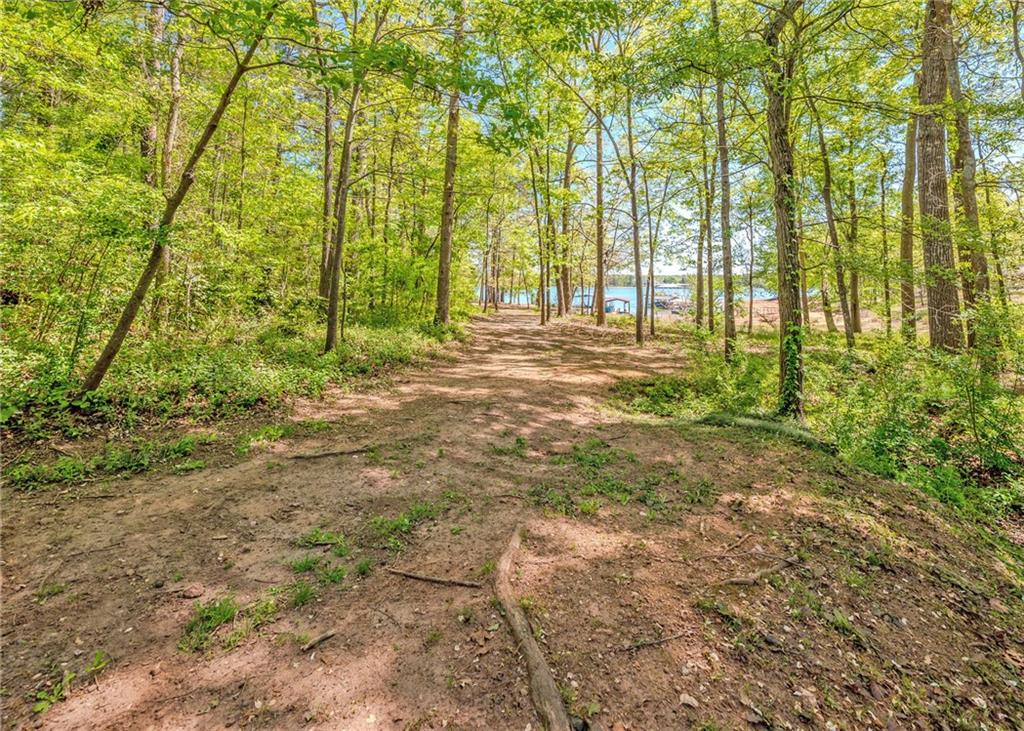 7 Old Oak Trail Hartwell, GA 30643 - Photo 50 of 59 a view of backyard with green space