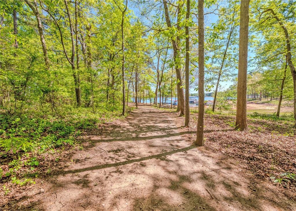 7 Old Oak Trail Hartwell, GA 30643 - Photo 51 of 59 a view of backyard with green space