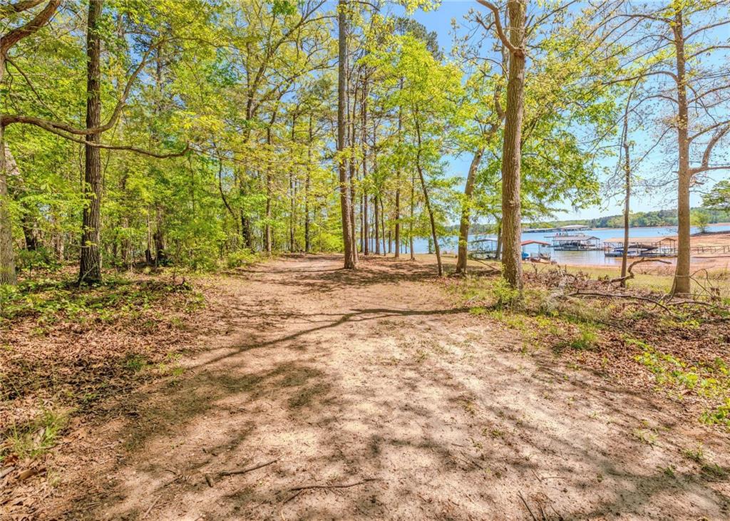 7 Old Oak Trail Hartwell, GA 30643 - Photo 52 of 59 a backyard of a house with large trees