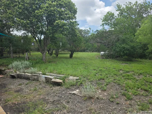 a view of a yard