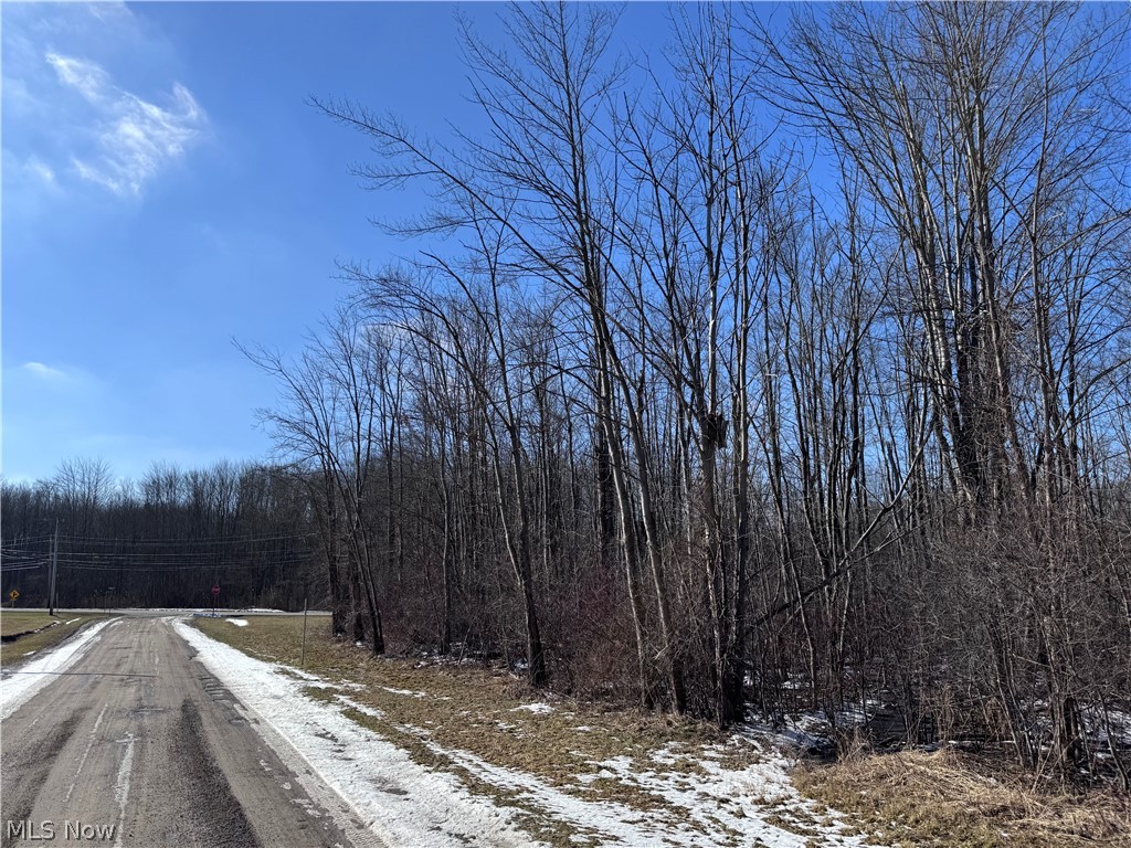 4 Painesville Warren Road Painesville, OH 44077 - Photo 10 of 13
