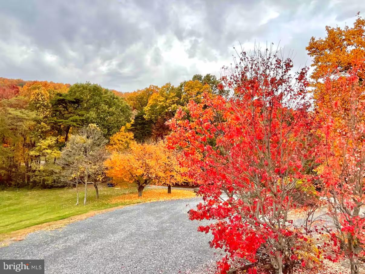 349 Lucas Road Warfordsburg, PA 17267 - Photo 7 of 59 Fall View