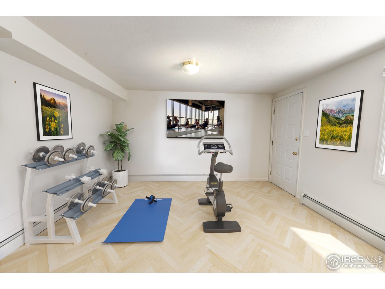 5339 Olde Stage Road Boulder, CO 80302 - Photo 31 of 40 Virtual Staged lower level Home Gym room with external entry walkout.