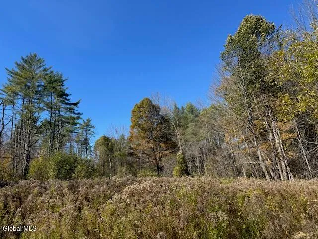 $249,900 | L12 St Rt 8 Johnsburg Ny 12843, North Creek, NY 12853