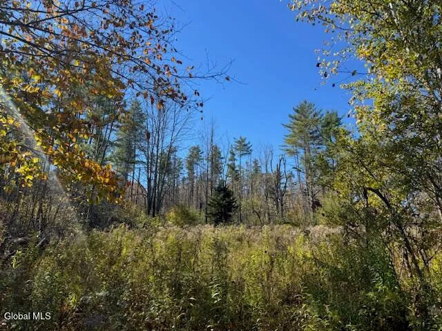 $249,900 | L12 St Rt 8 Johnsburg Ny 12843, North Creek, NY 12853