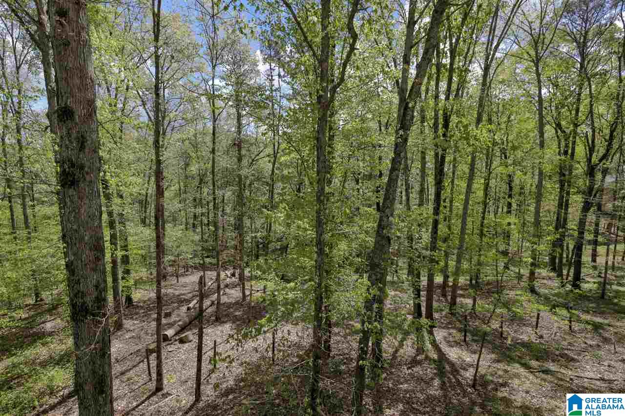 10630 Chelsea Road Chelsea, AL 35043 - Photo 15 of 42