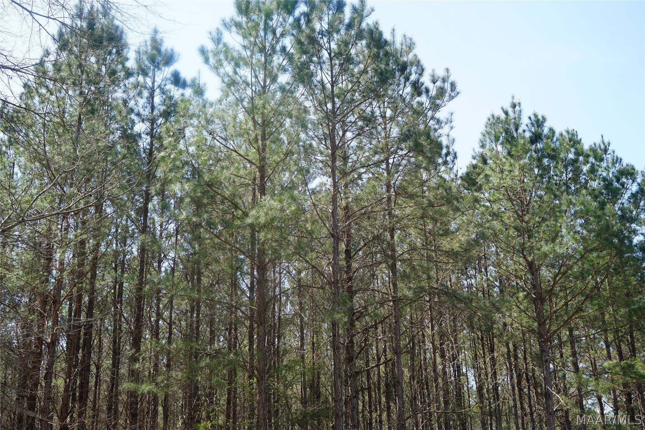 11540 Hobbie Road Ramer, AL 36069 - Photo 8 of 10 Gallery Image 8