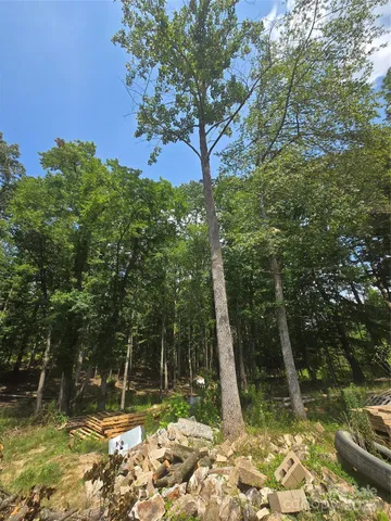 a view of a yard with a tree