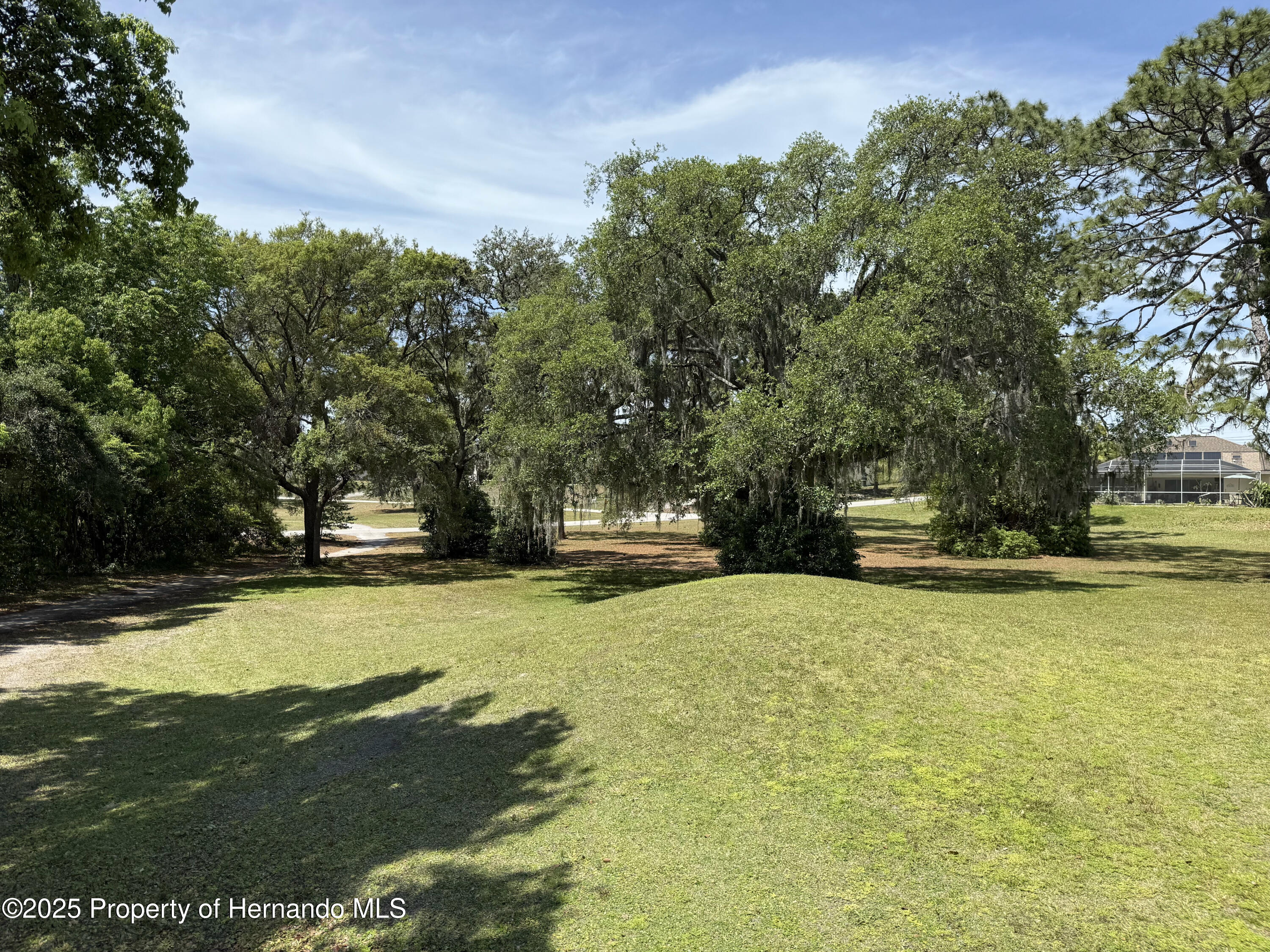 0 Loretto Street Spring Hill, FL 34608 - Photo 4 of 6