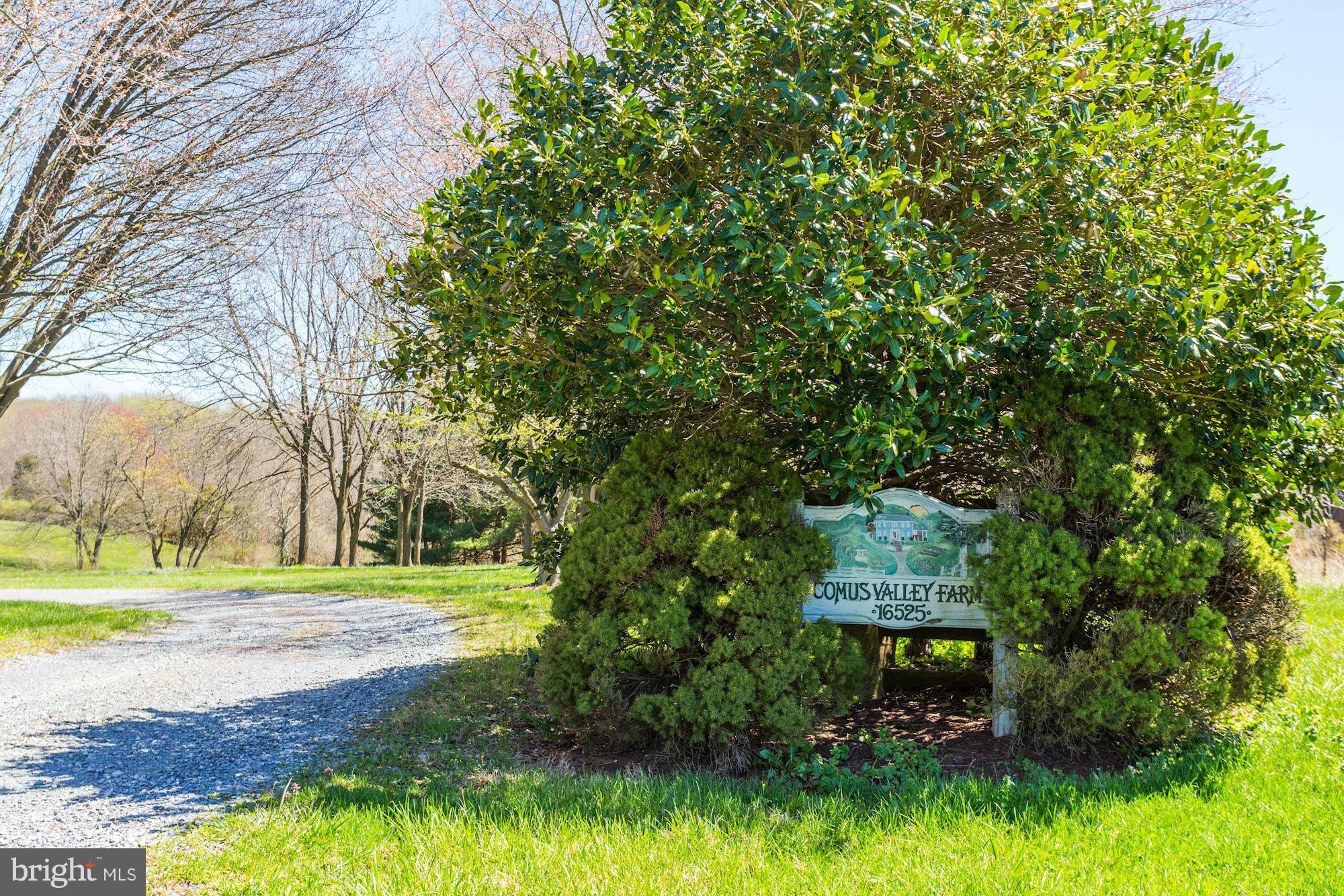 16525 Comus Road Dickerson, MD 20842 - Photo 2 of 30 View