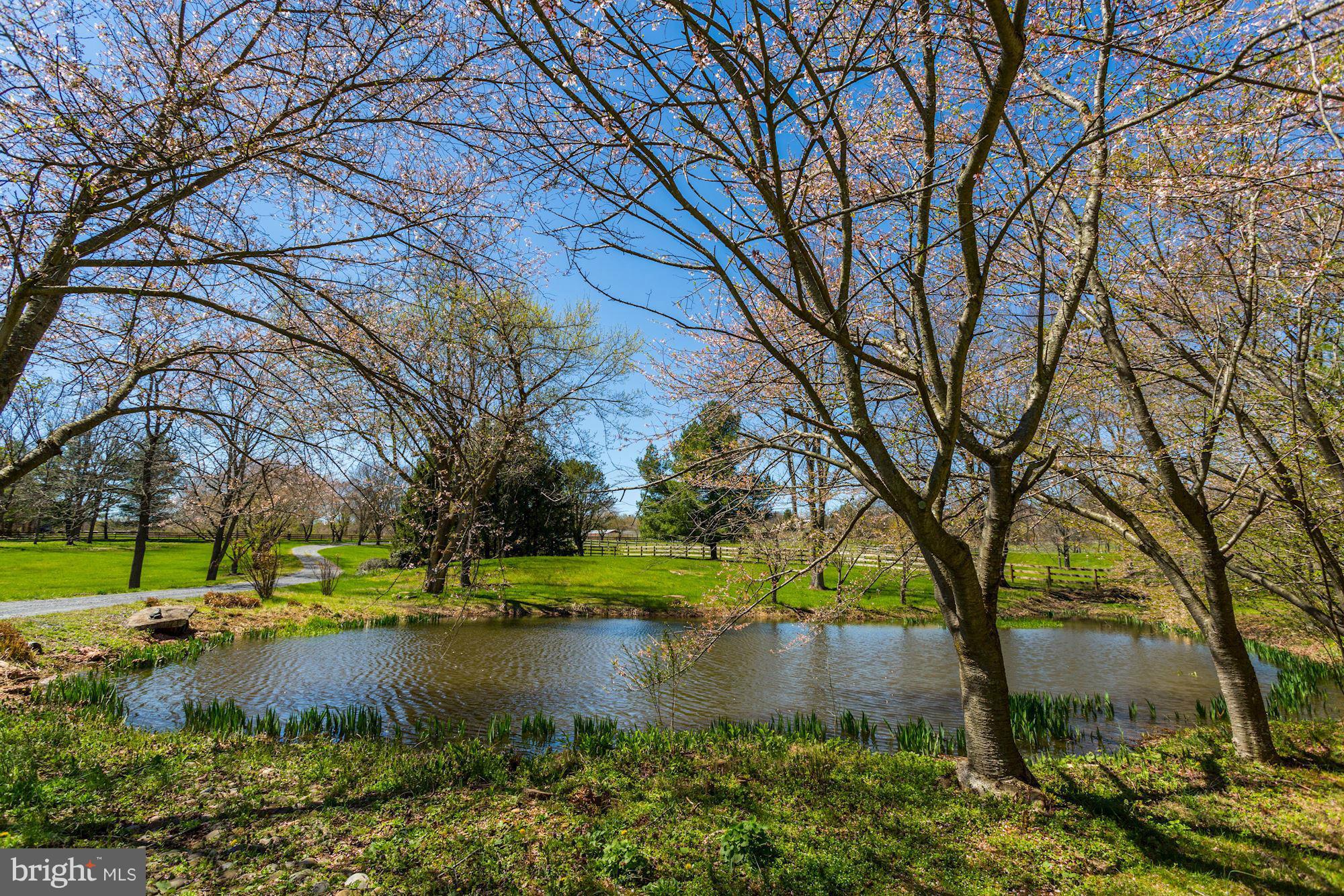 16525 Comus Road Dickerson, MD 20842 - Photo 29 of 30 View