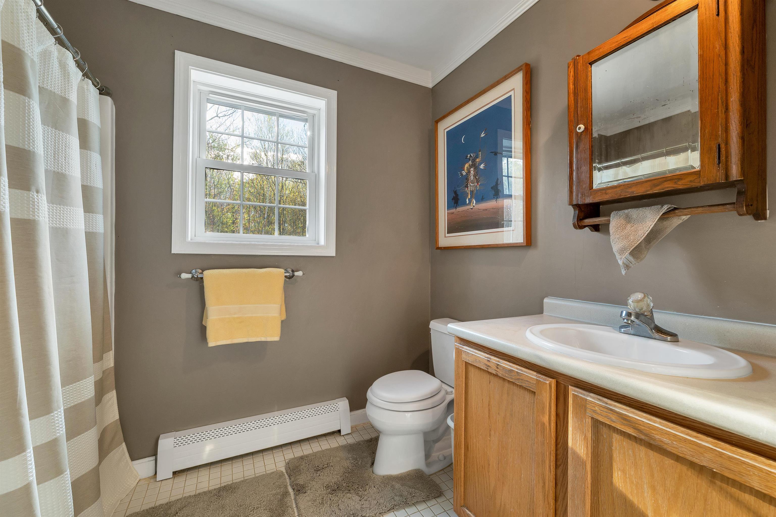 58 Pointe Trinity Drive Strafford, NH 03884 - Photo 31 of 59