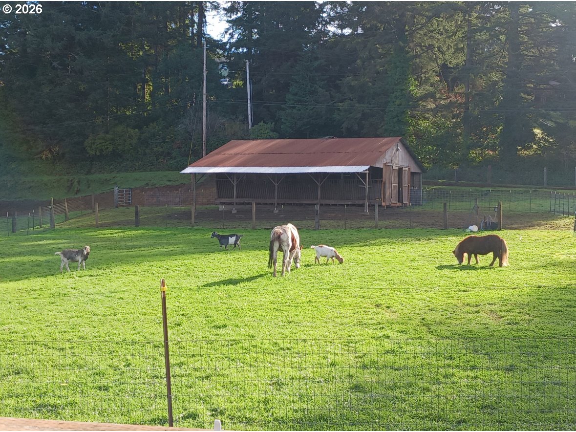 63559 Shinglehouse Road Coos Bay, OR 97420 - Photo 4 of 45