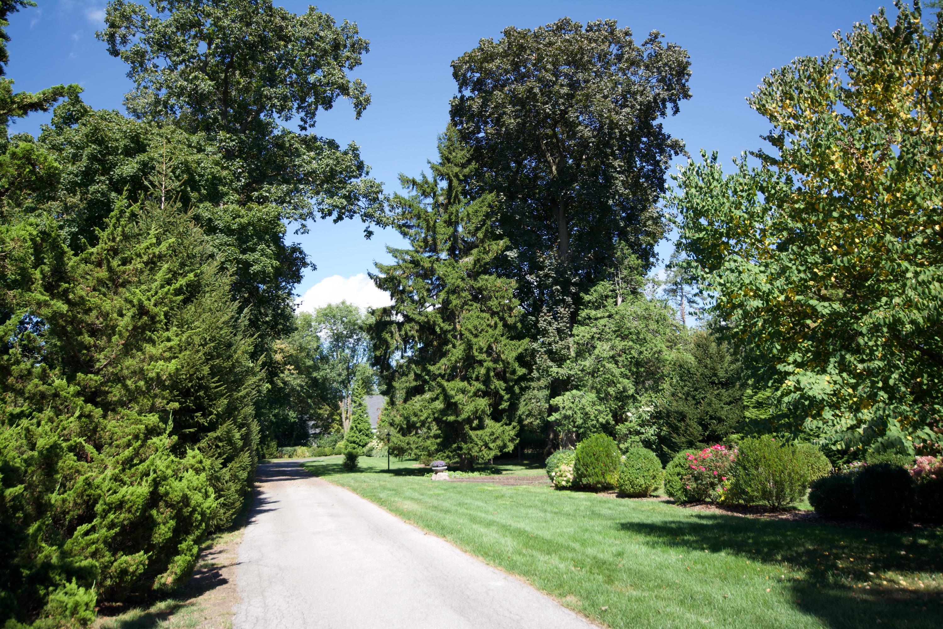 2271 Boston Post Road Darien, CT 06820 - Photo 35 of 40 a view of a garden with a tree