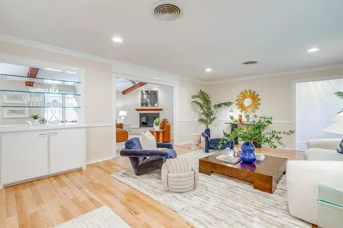 a living room with furniture and a potted plant