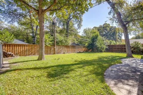 a view of a garden with a tree