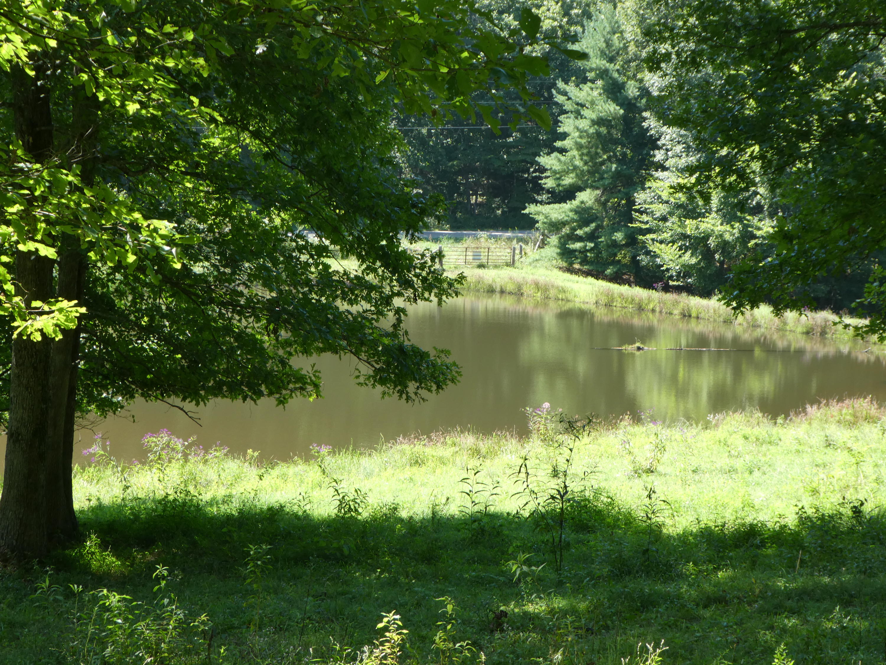 Petersford Road Sunbright, TN 37872 - Photo 3 of 8 P1010778