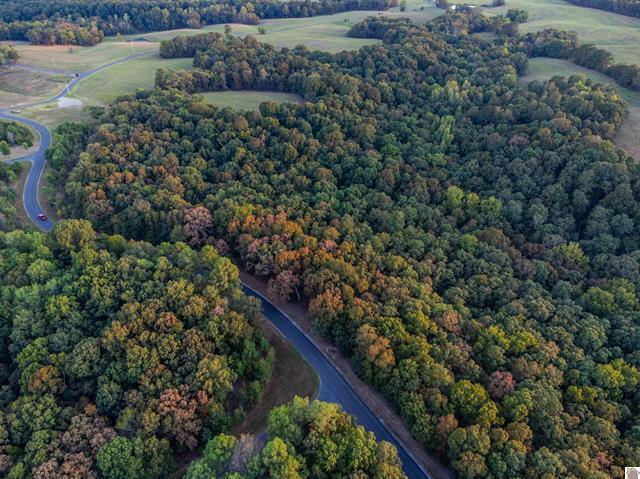 Lot 80 Waterfowl Road Murray, KY 42071 - Photo 18 of 21 20260711020555018939000000-o