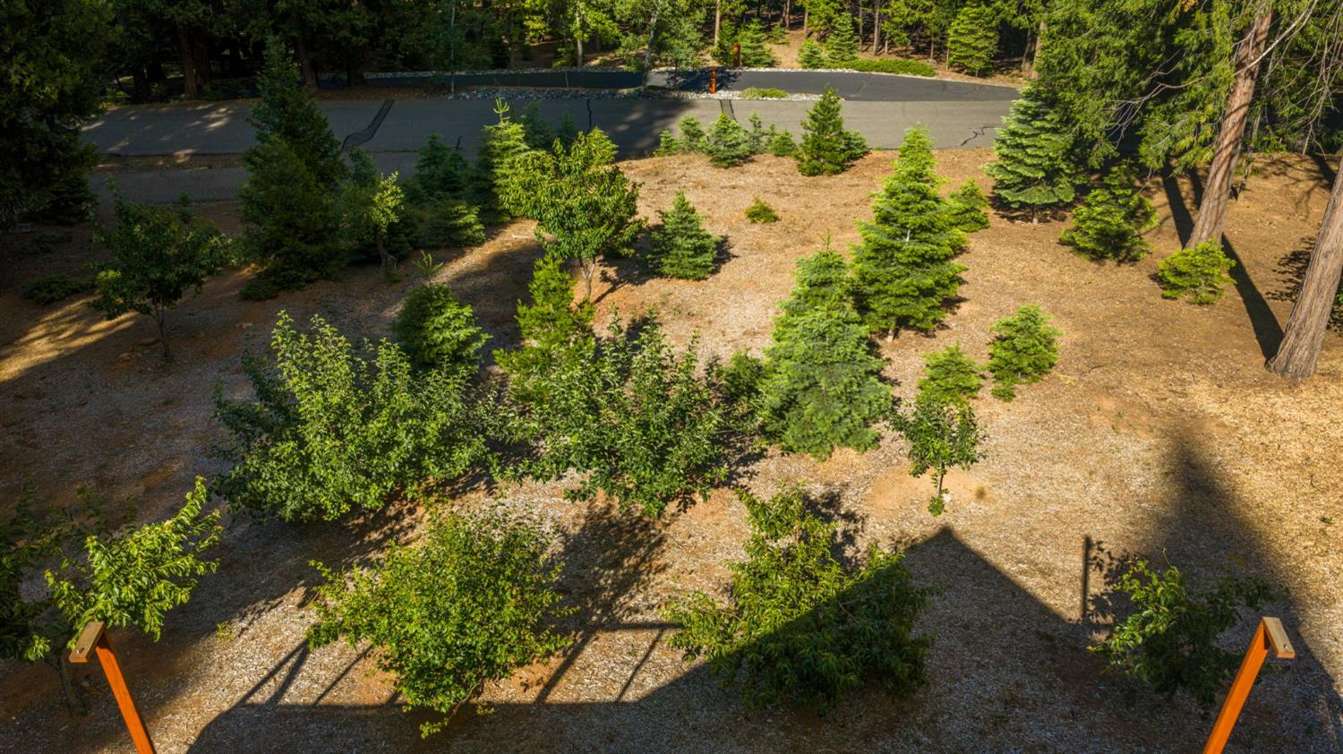 3070 Crystal Summit Road Pollock Pines, CA 95726 - Photo 76 of 76