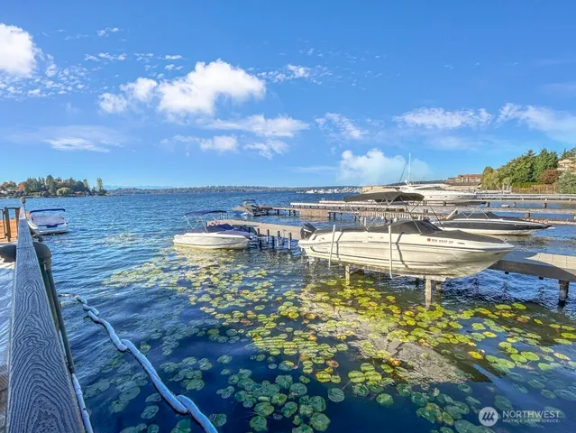 a view of a swimming pool with a terrace