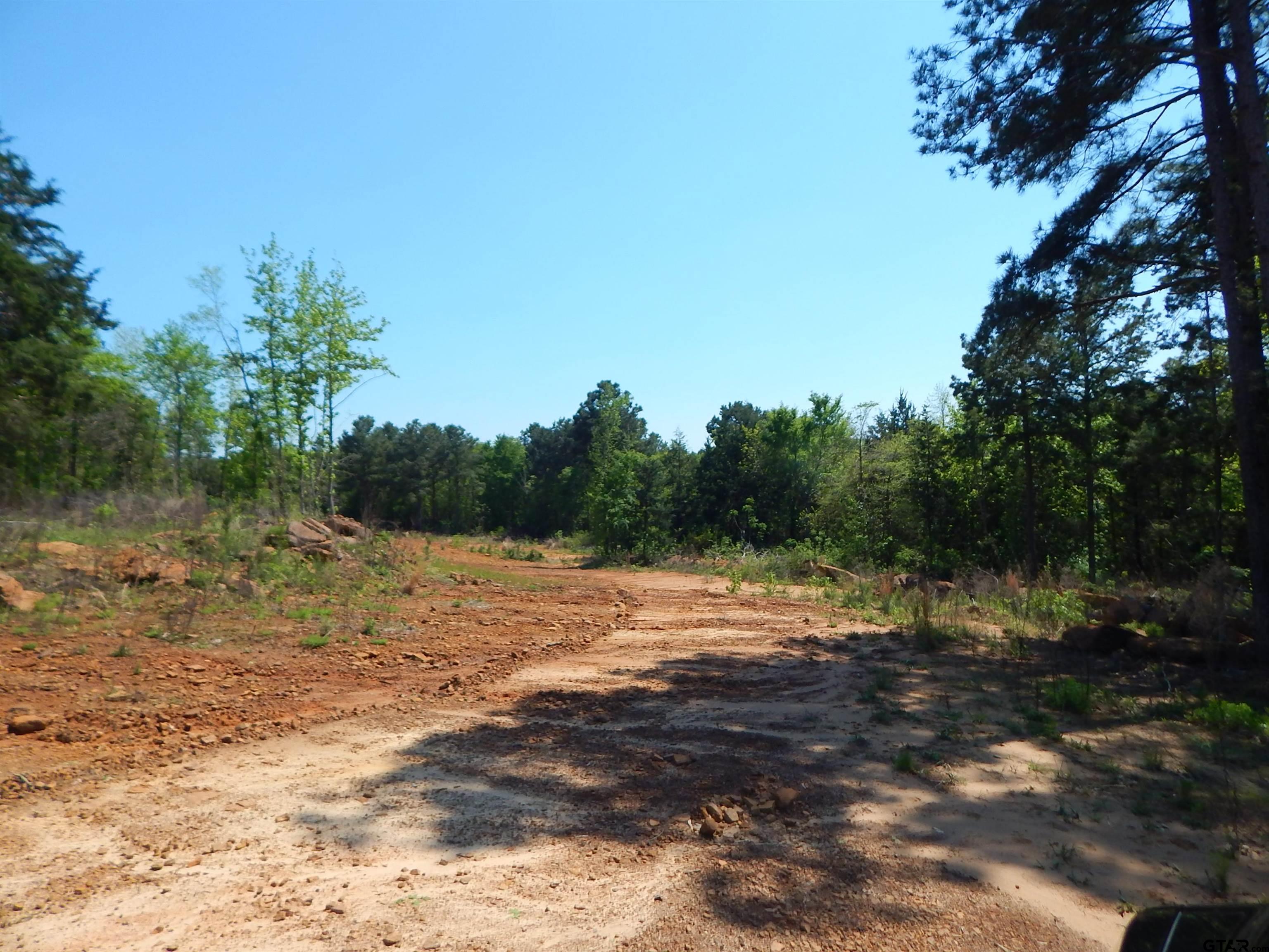 15 Acres Fm 1795 Big Sandy, TX 75755 - Photo 6 of 15